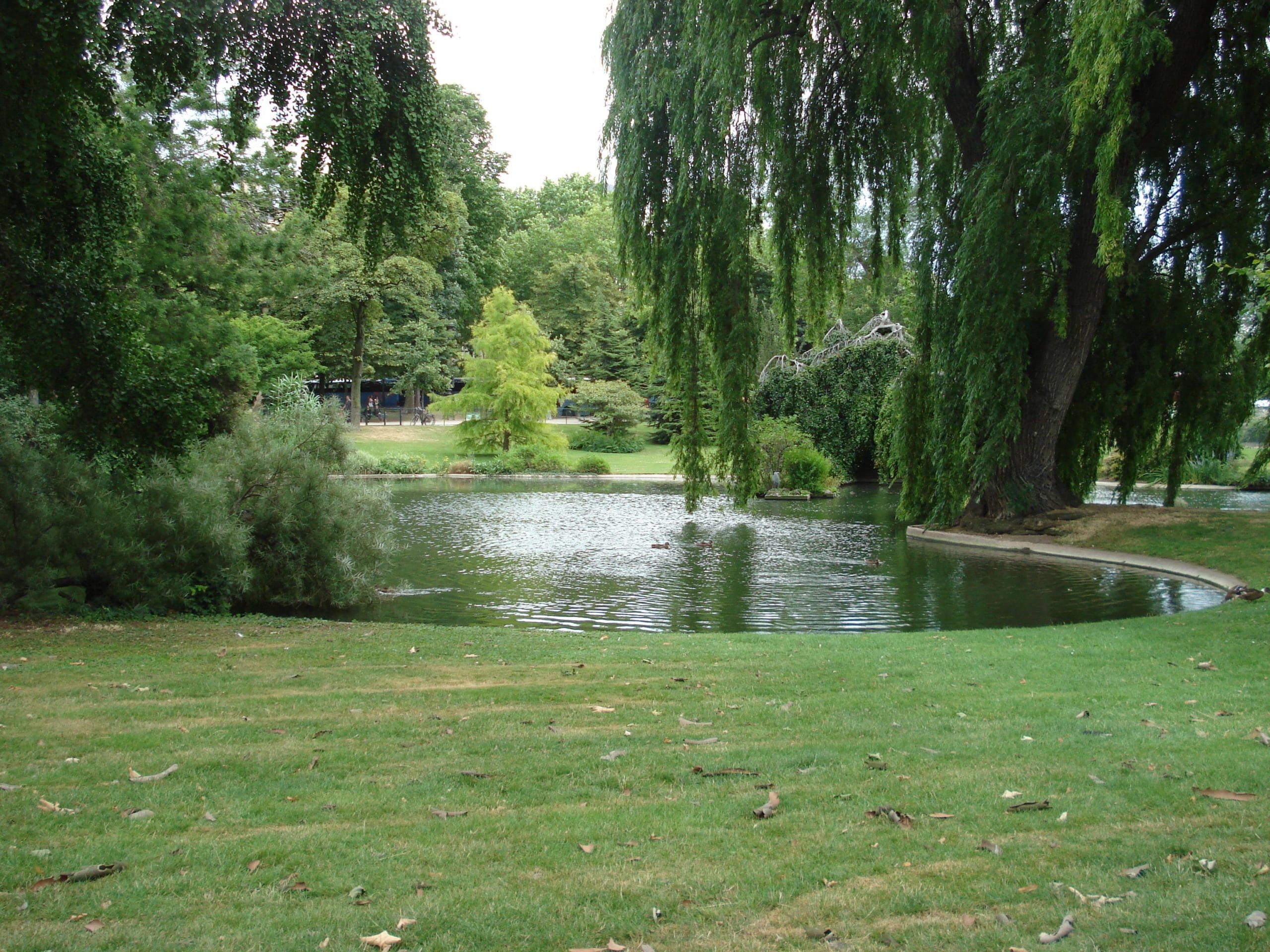 Park
