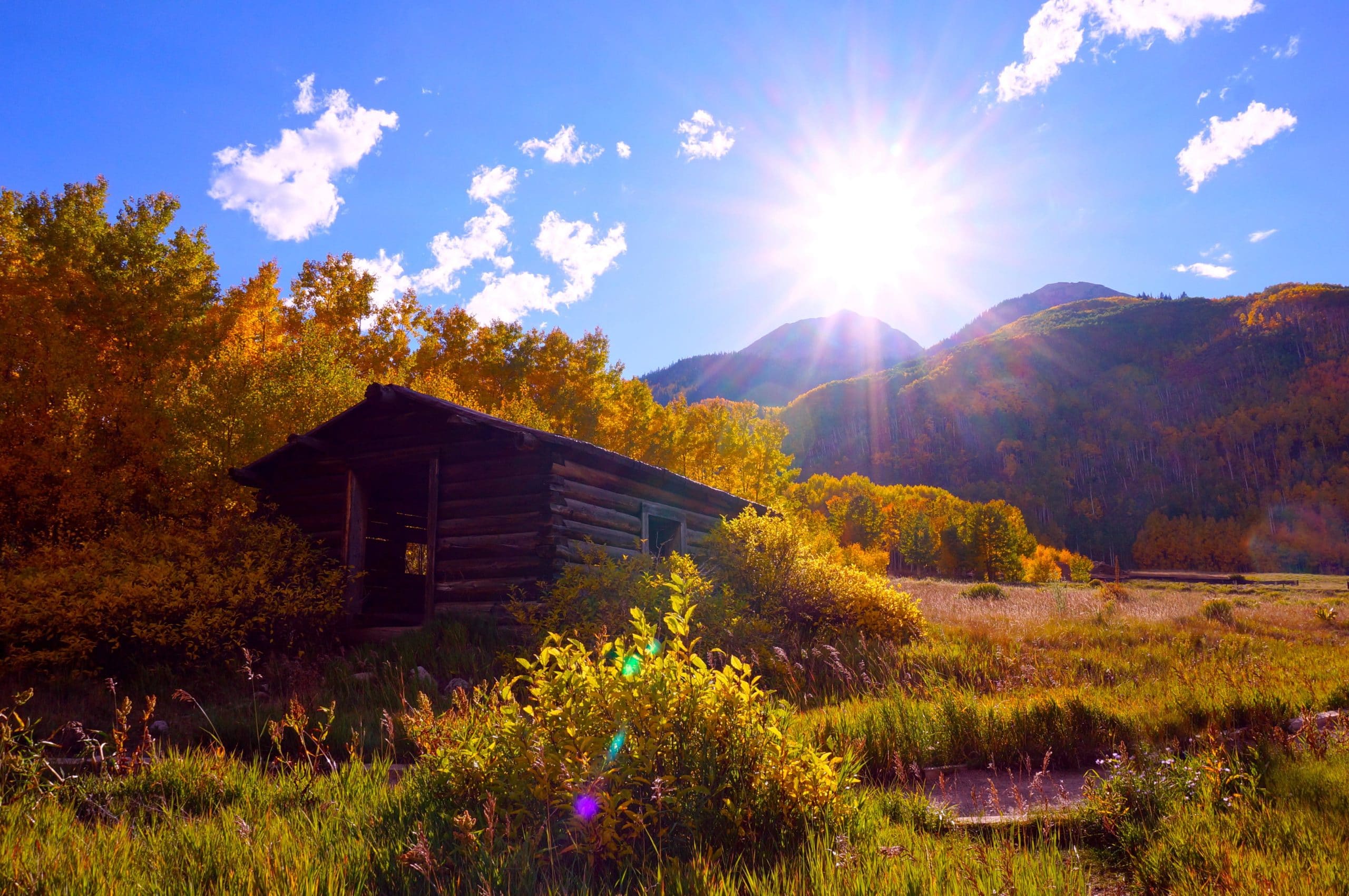 Cabin
