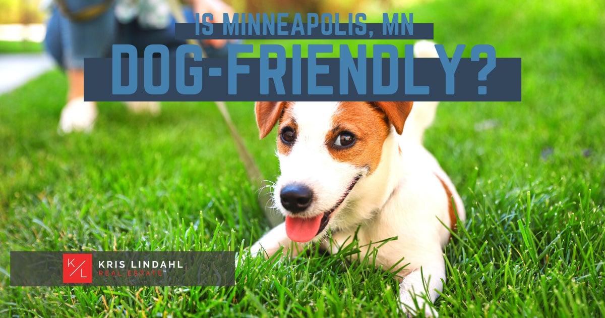 Is Minneapolis Dog-Friendly?